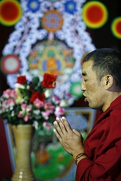 Buddhist prayer at Vincennes Pagoda, Paris, Ile de France, France, Europe