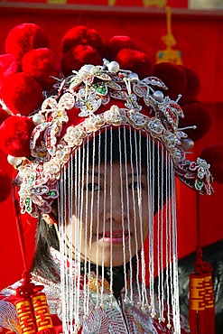 Chinese New Year, Paris, France, Europe