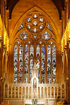 Central nave and an aisle on either side, St. Mary's Cathedral, Sydney, New South Wales, Australia, Pacific