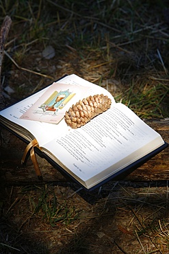 Bible with pine cone, Haute Savoie, France, Europe