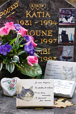 Asnieres animal cemetery, Asnieres, Hauts-de-Seine, France, Europe