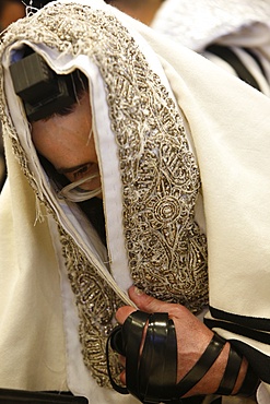 Orthodox Jew in the Belz Synagogue, Jerusalem, Israel, Middle East