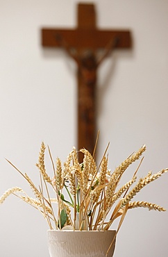 Wheat in Saint-Hugues church, Pontcharra, Isere, France, Europe