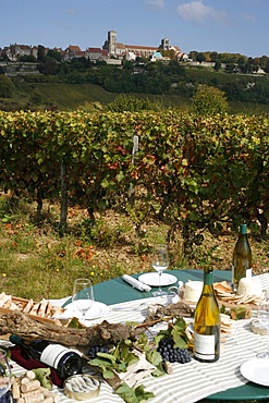 Wine in Vezelay, Yonne, Burgundy, France, Europe