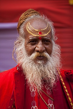 Sadhu at the Kumbh Mela in February 2010, Haridwar, Uttar Pradesh, India, Asia