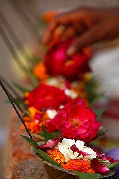 Diyas (floral floats with incense), Rishikesh, Uttarakhand, India, Asia