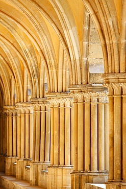 Capitals and pillars, Royaumont Abbey cloister, Asnieres-sur-Oise, Val d'Oise, France, Europe