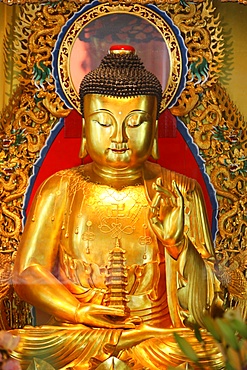 Shakyamuni Buddha statue in Main Hall, Po Lin Monastery, Tung Chung, Hong Kong, China, Asia