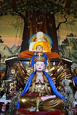 Buddha statues, Tu An Buddhist temple, Saint-Pierre-en-Faucigny, Haute Savoie, France, Europe