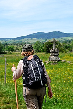 Pilgrim walking on the Way of St. James, Christian pilgrimage route towards Saint-Jacques-de-Compostelle (Santiago de Compostela), Languedoc-Roussillon, France, Europe