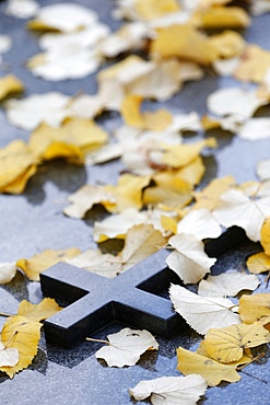 Cross on tombstone under dead leaves, France, Europe