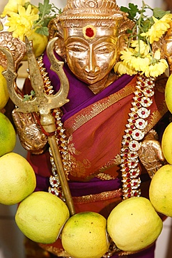 The Hindu goddess Durga at Diwali celebration at the Paris Ganesh temple, Paris, France, Europe