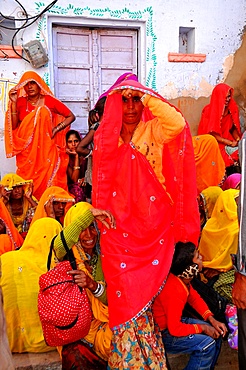 Rajasthani women, Pushkar, Rajasthan, India, Asia