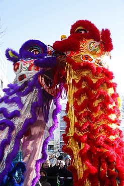 Dragon dance, Chinese New Year, Paris, France, Europe