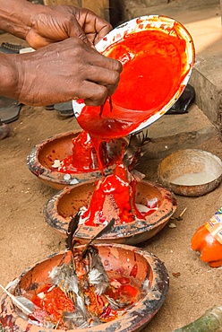 Voodoo ritual performed in Ouidah, Benin, West Africa, Africa