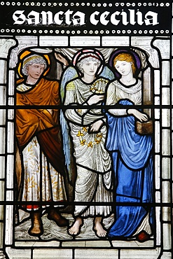 Stained glass of St. Cecilia, Oxford's Cathedral at Christ Church College, Oxford, Oxfordshire, England, United Kingdom, Europe