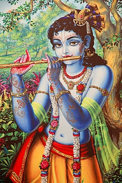 Painting depicting Hindu god Krishna playing a flute outdoors, Vrindavan, Uttar Pradesh, India, Asia