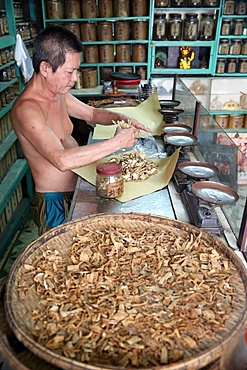 Herbal medicine therapy, traditional Chinese medicine pharmacy, Ho Chi Minh City, Vietnam, Indochina, Southeast Asia, Asia