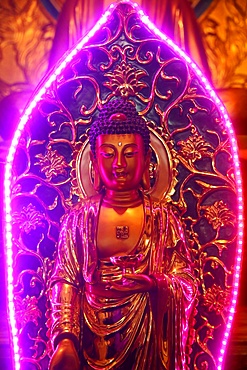 Buddha statue with neon light, Chua Thien Hung Buddhist Pagoda, Ho Chi Minh City, Vietnam, Indochina, Southeast Asia, Asia