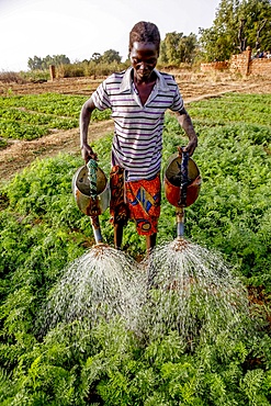 Woman watering a vegetable garden in Loumbila, Burkina Faso, West Africa, Africa