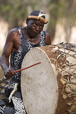 African traditional djembe drummer, Kruger National Park, South-Africa, Africa