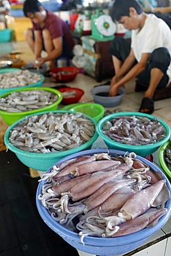 Fish market, squids and shrimps for sale, Ha Tien, Vietnam, Indochina, Southeast Asia, Asia