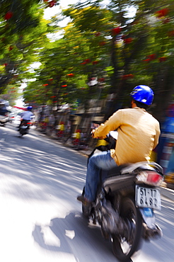 Motorbike on Ho Chi Minh Boulevard during Tet, Vietnam, Indochina, Southeast Asia, Asia