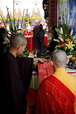 Monks at prayer in a Buddhist temple, Ho Chi Min City, Vietnam, Indochina, Southeast Asia, Asia