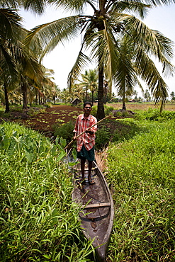 Local man collecting coconut sap for toddy production standing in canoe, Kerala, India, Asia