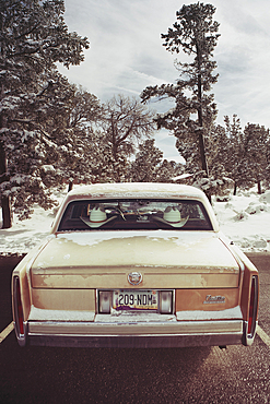 Vintage Cadillac, Snow, Snowy Trees, Parked, Route 66, Grand Canyon.