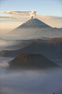 View at dawn over the Bromo and Semeru volcanoes, in the Tennger caldera, Java, Indonesia, Southeast Asia, Asia