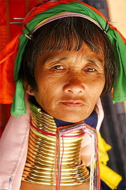 A Padaung woman in the area of Doi Tung, in the Golden Triangle, Thailand, Southeast Asia, Asia