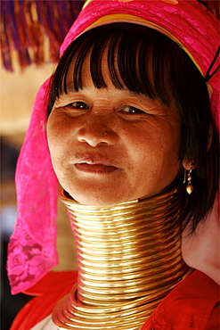 A Padaung woman in the area of Doi Tung, in the Golden Triangle, Thailand, Southeast Asia, Asia