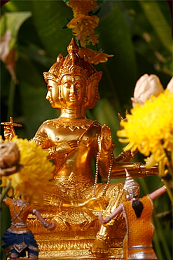 Detail of the Wat Chiang Man temple, in the center of Chiang Mai, Thailand, Southeast Asia, Asia