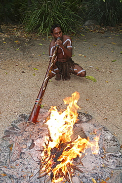 An Aboriginal musician with his digeridoo in a music festival in Cairns, Queensland, Australia, Pacific