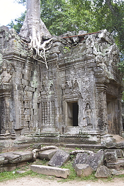 The Ta Prohm temple taken by the jungle in Angkor, UNESCO World Heritage Site, Siem Reap, Cambodia, Indochina, Southeast Asia, Asia