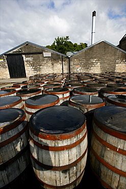 Dalmore distillery, one of the most famous in the country, Scotland, United Kingdom, Europe