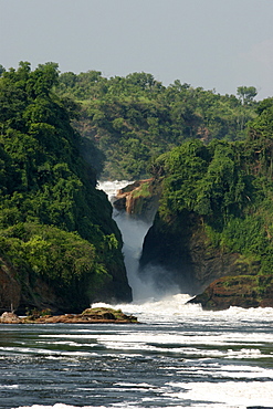 The Murchison Falls on the Nile River, Murchison Falls National Park, Uganda, East Africa, Africa