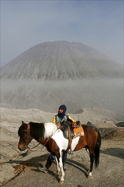 Horse and rider on the way to the top of the Bromo volcano, in the background the small Batok volcano, Tengger caldera, Java, Indonesia, Southeast Asia, Asia