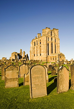 View of Priory across graveyard, Tynemouth Priory, Tyne and Wear, England, United Kingdom, Europe



