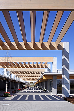 Veranda and trellis, Kana Garden, Botanical garden, architects A. Kuryu Architect and Associates, Hiratuka, Kanagawa, Japan, Asia