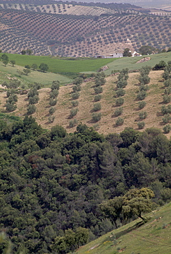 Landscape, Sierra de Cazorla, Andalucia, Spain, Europe