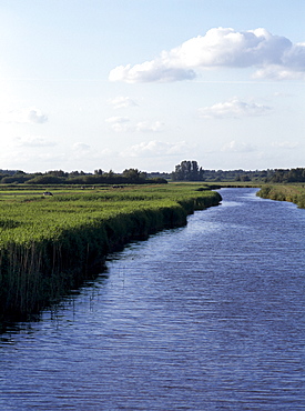 Landscape and canal, Blokzijl, Overijssel, Netherlands, Europe