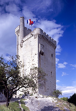 Villeneuve-les-Avignon, Avignon, Vaucluse, Provence, France, Europe