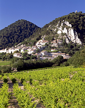 Seguret, near Vaison-la-Romaine, Provence, France, Europe