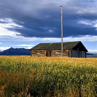 Deserted Prairie House, Midwest, United States of America, North America