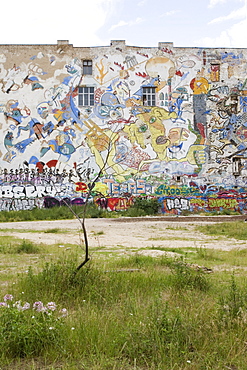 Mural, Art house Tacheles, Berlin, Germany, Europe