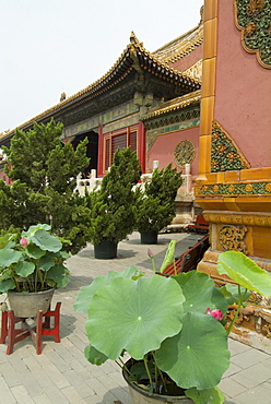 Imperial Palace, Forbidden City, UNESCO World Heritage Site, Beijing, China, Asia