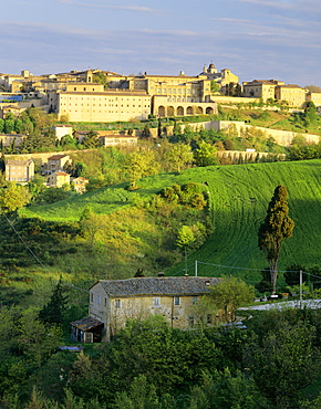 Urbino at dawn from south east, Urbino, Marche, Italy, Europe