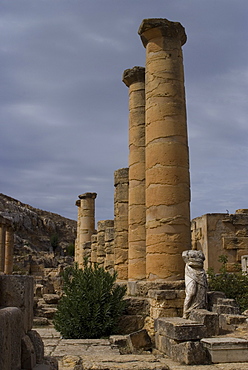 Temple of Apollo, Sanctuary of Apollo, Cyrene, UNESCO World Heritage Site, Libya, North Africa, Africa